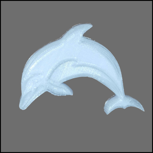 Dolphin